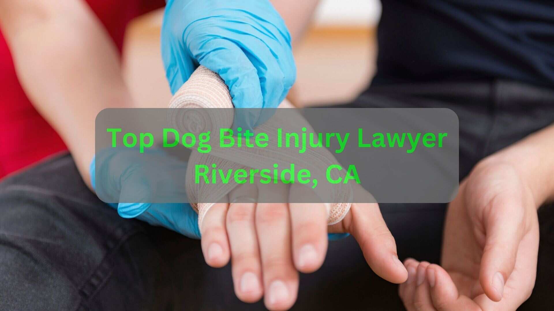 Top Dog Bite Injury Lawyer Riverside